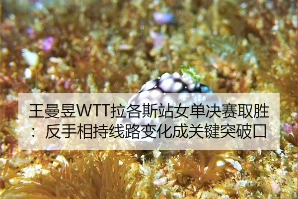 wang-man-yu-la-ge-si-zhan-nv-dan-jue-sai-qu-sheng-fan-shou-xiang-chi-xian-lu-bian-hua-cheng-guan-jian-tu-po-kou-3-943.jpg